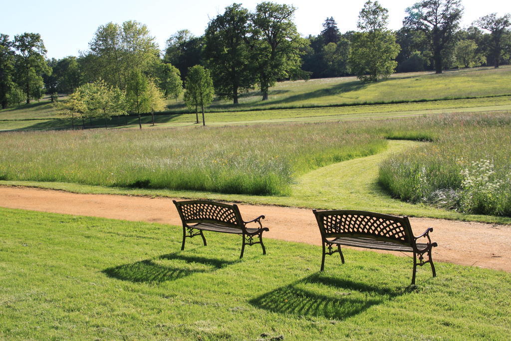 Chateau De Brissac Bed & Breakfast Luaran gambar